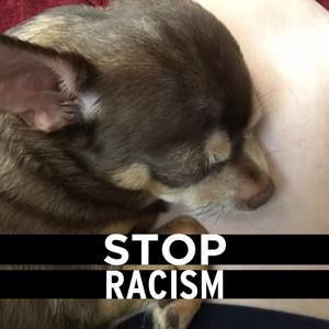 Meet your Posher, Jane